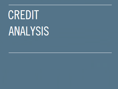 Credit Analysis